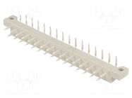 Connector: DIN 41617; plug; male; PIN: 31; angled 90°; 4A; 250V; THT CONEC