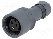 Connector: circular; plug; female; PIN: 3; Buccaneer 6000; UL94V-0 BULGIN