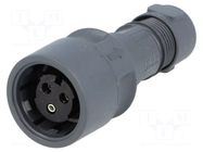 Connector: circular; plug; female; PIN: 3; 16A; 277V; Buccaneer 6000 BULGIN