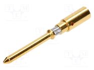 Contact; male; copper alloy; gold-plated; 2.5mm2; 14AWG; crimped 