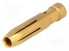 Contact; female; copper alloy; gold-plated; 4mm2; 12AWG; crimped HARTING