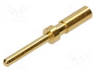 Contact; male; copper alloy; gold-plated; 26AWG÷22AWG; crimped 