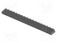 Socket; pin strips; female; PIN: 36; straight; 1.27mm; SMT; 1x36 CONNFLY