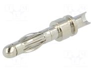 Connector: 4mm banana; plug; non-insulated; Max.wire diam: 2.5mm AXIOMET