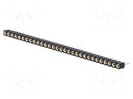 Connector: pin strips; socket; female; PIN: 30; straight; THT; 1x30 CONNFLY