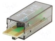 Module protecting; 24VDC; PT TE Connectivity