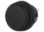 Switch: push-button; Pos: 2; DPST-NO; 6A/250VAC; OFF-(ON); IP65 SCI
