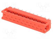 Wire-board; adapter; PIN: 20; IDC,THT; on PCBs,for ribbon cable Amphenol Communications Solutions
