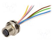 Connector: M12; socket; PIN: 8; female; cables; 0.5m CONEC