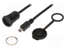 Adapter cable; USB B mini socket,USB B mini plug; 1310; USB 2.0 ENCITECH
