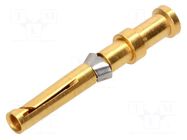 Contact; female; copper alloy; gold-plated; 0.75mm2; 18AWG; 10A HARTING