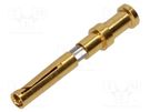 Contact; female; copper alloy; gold-plated; 0.14÷0.37mm2; crimped HARTING