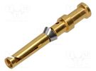 Contact; female; copper alloy; gold-plated; 0.5mm2; 20AWG; crimped HARTING