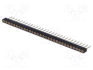 Socket; pin strips; female; PIN: 30; low profile,turned contacts CONNFLY