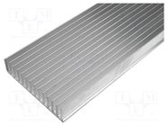 Heatsink: extruded; grilled; L: 1000mm; W: 165mm; H: 35mm; aluminium STONECOLD