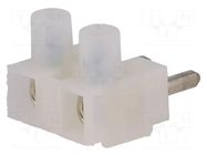 Connector: pluggable terminal block; male; ESKW; 10A; 400V; 2.5mm2 ELECTRO TERMINAL