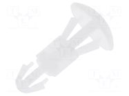 Assembly stud; polyamide; L: 7mm; snap fastener; natural; UL94V-2 FIX&FASTEN