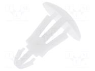 Assembly stud; polyamide; L: 6.3mm; snap fastener; natural FIX&FASTEN
