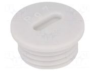 Stopper; PG7; IP54; polystyrene; light grey; SKINDICHT®; 6mm LAPP
