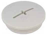 Stopper; M63; 1.5; IP54; polyamide; light grey; SKINDICHT®; 12mm LAPP