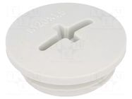 Stopper; M20; 1.5; IP54; polyamide; light grey; SKINDICHT®; 6mm LAPP