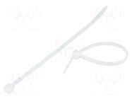Cable tie; L: 300mm; W: 4.8mm; natural; polyamide; 220N; Ømax: 76mm BM GROUP