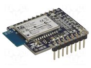 Extension module; Modulowo DuoNect,RN-42 Bluetooth module MODULOGY