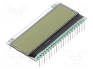 Display: LCD; alphanumeric; FSTN Positive; 8x1; white; 55x17.5mm DISPLAY VISIONS