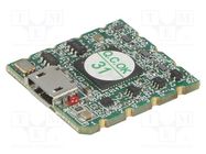 Programmer: Xilinx FPGA; USB; Kit: JTAG adapter; USB B micro; SMD DIGILENT