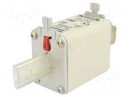 Fuse: fuse; 250A; 500VAC; 250VDC; gG,gL; ceramic,industrial; NH1 BUSSMANN