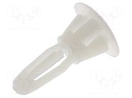 Assembly stud; polyamide; L: 4.8mm; latch/latch; Ø2: 6mm; Ø1: 4mm ESSENTRA