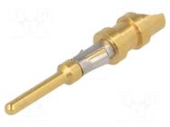 Contact; male; Buccaneer 6000,Buccaneer 7000; brass; 20AWG÷18AWG BULGIN