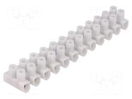 Connector: terminal block; 450V; screw terminal; Contacts: steel ELECTRO TERMINAL