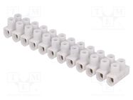 Terminal block; screw terminal; 1÷4mm2; 450V; ways: 12; white ELECTRO TERMINAL