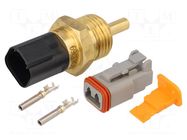 Sensor: temperature; Pt1000; cl.B; Electr.connect: DT04-2P; 30mm WIKA