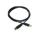 10 ft USB 2.0 Cable - A to B - AB GoldX