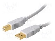 Cable; USB 2.0; USB A plug,USB B plug; gold-plated; 5m; grey BQ CABLE