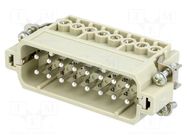 Connector: HDC; contact insert; male; 16A; 250V; Han® A; PIN: 16 HARTING