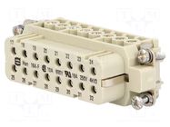 Connector: HDC; contact insert; female; 16A; 250V; Han® A; PIN: 16 HARTING