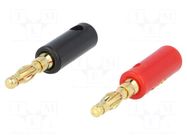 Connector: 4mm banana; gold-plated; on cable; 5A; plug ACV