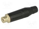 Plug; RCA; female; straight; soldering; black; gold-plated; 3÷7mm AMPHENOL