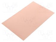 Laminate; FR4,epoxy resin; 0.6mm; L: 160mm; W: 100mm; double sided 