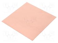 Laminate; FR4,epoxy resin; 0.6mm; L: 100mm; W: 100mm; double sided 