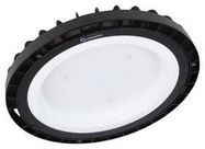 DOWNLIGHT, 4000K, COOL WHITE