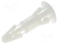 Assembly stud; polyamide; L: 9.8mm; snap fastener; natural KSS WIRING