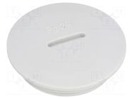 Stopper; PG29; IP54; polystyrene; light grey; SKINDICHT® BLK; 8mm LAPP