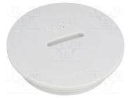 Stopper; PG29; IP54; polystyrene; light grey; SKINDICHT®; 8mm LAPP