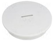 Stopper; PG42; IP54; polystyrene; light grey; SKINDICHT®; 10mm LAPP