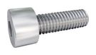 SCREW, CAP HEAD HEX, M6X100, SS A2