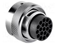 Connector: circular; plug; for cable; PIN: 19; male; w/o contacts AMPHENOL
